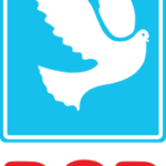Demokratik Sol Parti